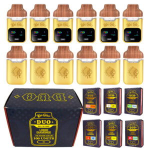 big chief v2 all in one disposable (24)